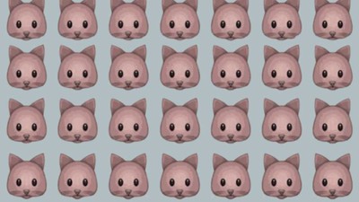 100 kişi denedi, sadece 2 kişi buldu! Resimdeki farklı fareyi 6 saniyede bulmak için en az 130 IQ gerekiyor
