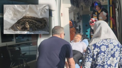 Ailesiyle pikniğe giden adamı yılan ısırdı