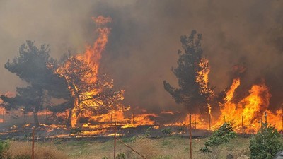 Çorum'da ormanlara girişler yasaklandı