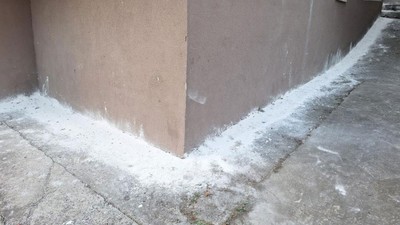 Mahalleli tedirgin; her tarafı istila ettiler