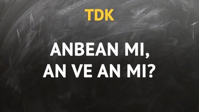 TDK'ya göre anbean kelimesi nasıl yazılır?