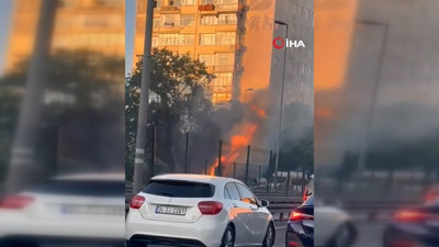 Ağaçlık alanda çıkan yangın korkuttu