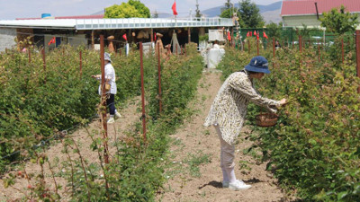 5 yıl önce hobi olarak başladı; şimdi taleplere yetişemiyor