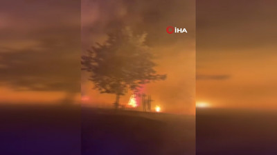 Hassa'da ormanlık alanda çıkan yangın kontrol altına alındı