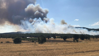 Uşak'ta orman yangınına neden olan 2 kardeş tutuklandı