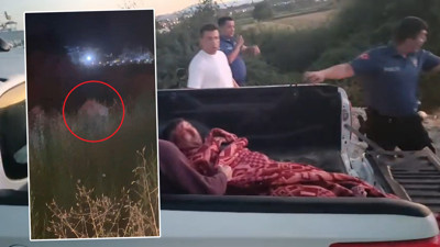 Antalya'da aslan alarmı! 1 kişiyi yaraladı, ormanda arama çalışmaları sürüyor