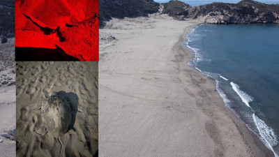 Patara için eylem planı: İnsan faaliyetleri sınırlandırılacak