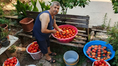 Salça yapım telaşı başladı