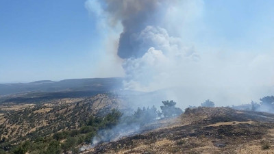 Çanakkale ve Tekirdağ'da orman yangınları