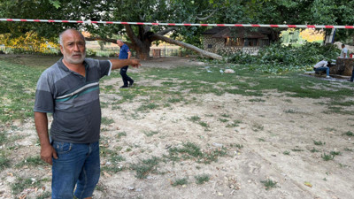 Konya'da piknikçilerin üzerine ağaç dalı düştü: 11 yaralı