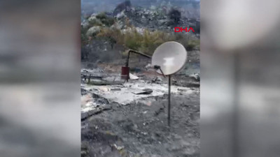 Yanan dağ evinden geriye onlar kaldı