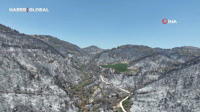 Yeşil Bursa'nın yemyeşil ormanları böyle karardı