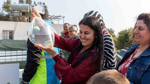 Haşere mücadelesi için lepistes balığı yetiştirilecek