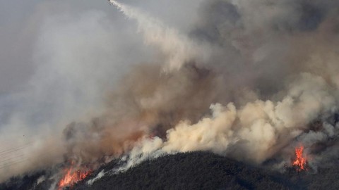 Güney Kore'de orman yangınlarında 104 bin hektar alan zarar gördü