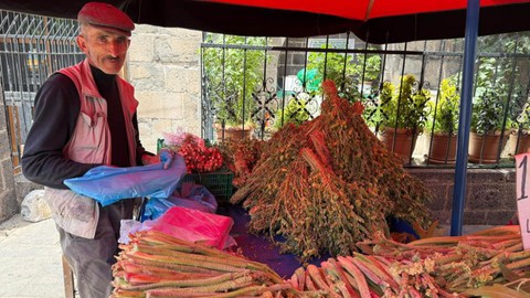 Dağ muzu, ribes, ışkın, hire... Yüzyıllardır kullanılan bitki sağlık için şifa kaynağı