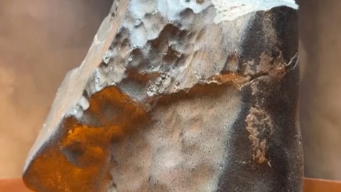 Nijer'in ıssız bir bölgesinde bulundu, 5,3 milyon dolara satıldı!