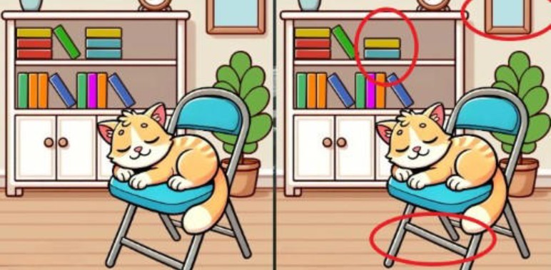 Sandalyede şekerleme yapan iki kedi arasındaki 3 farkı sadece yüksek IQ'su olanlar 12 saniyede buluyor - Resim : 5