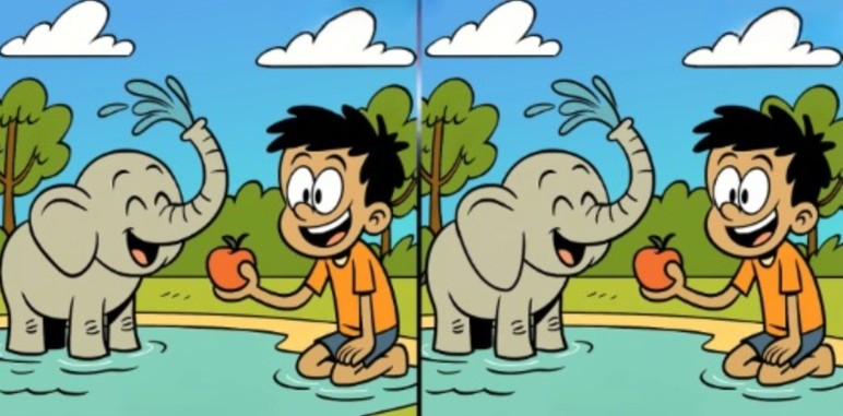 Yavru fili besleyen iki çocuk arasındaki 3 farkı sadece yüksek IQ'su olanlar 12 saniyede buluyor - Resim : 1