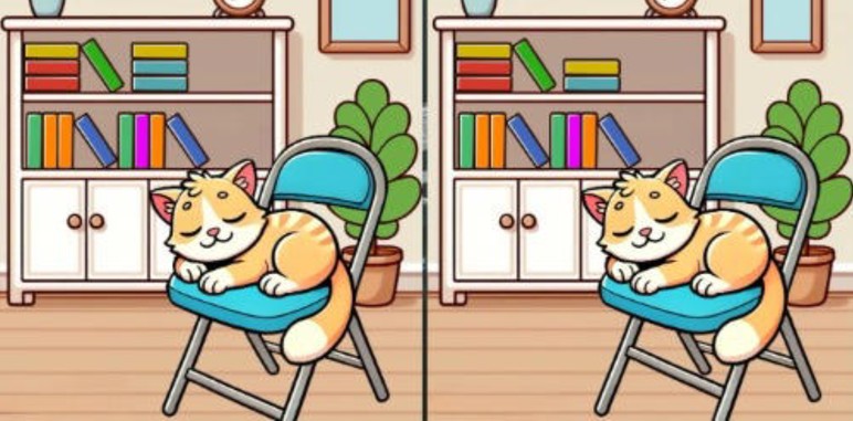 Sandalyede şekerleme yapan iki kedi arasındaki 3 farkı sadece yüksek IQ'su olanlar 12 saniyede buluyor - Resim : 1
