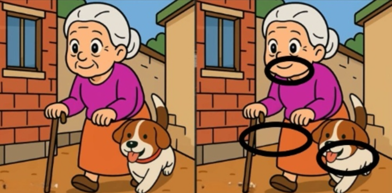 Köpeğini sokakta gezdiren iki yaşlı kadın arasındaki 3 farkı sadece yüksek IQ'su olanlar 12 saniyede buluyor - Resim : 5
