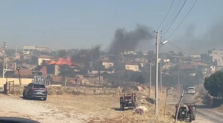 Çanakkale, Tekirdağ ve Kocaeli'de orman yangınları - Resim : 1