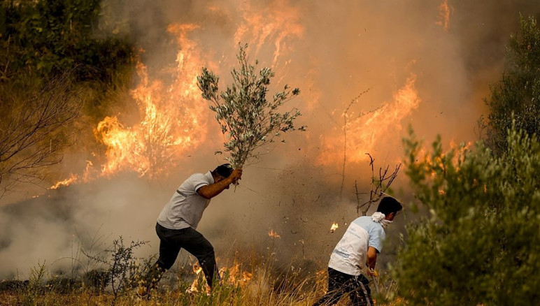 ¿Cuáles son nuestras deficiencias? ¡Los viejos hábitos no se extinguen! - Imagen: 2