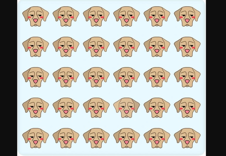 İşte akıl kurcalayan bir test: Resimdeki farklı köpeği sadece gerçek dâhiler 6 saniyede buluyor - Resim : 1