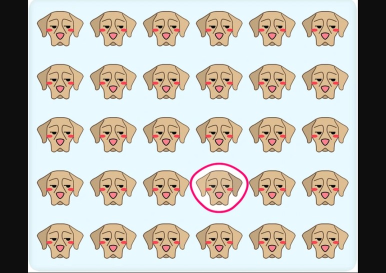 İşte akıl kurcalayan bir test: Resimdeki farklı köpeği sadece gerçek dâhiler 6 saniyede buluyor - Resim : 5