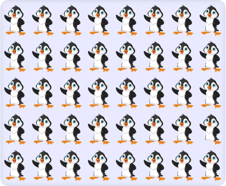 Bakıcısı bile bir türlü ayırt edemedi! Resimdeki farklı pengueni sadece gerçek dahiler 6 saniyede buluyor - Resim : 1