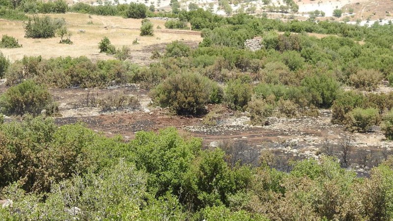 Kilis'teki orman yangınında 20 dönüm arazi kül oldu