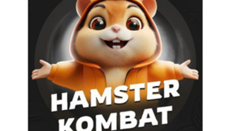 YENİ HAMSTER KOMBAT GÜNLÜK ŞİFRE 8 Ağustos 2024: Hamster Kombat günlük kombo, şifre ne?