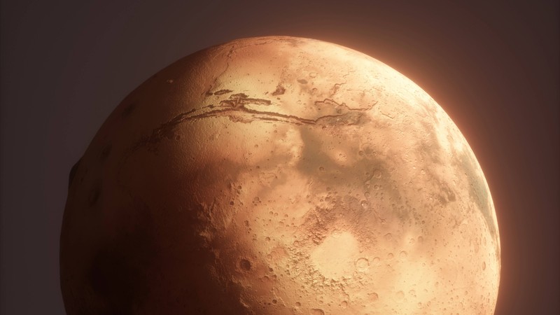 Mars'a gidenler bunu yiyecek, tadı kötü ama kızıl gezegenin atmosferinde hayatta kalabiliyor
