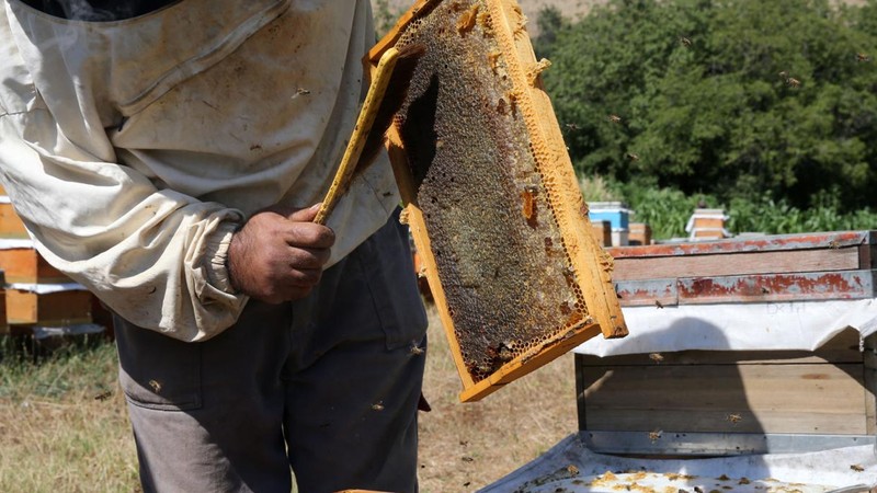 Bitlis balı tescillendi