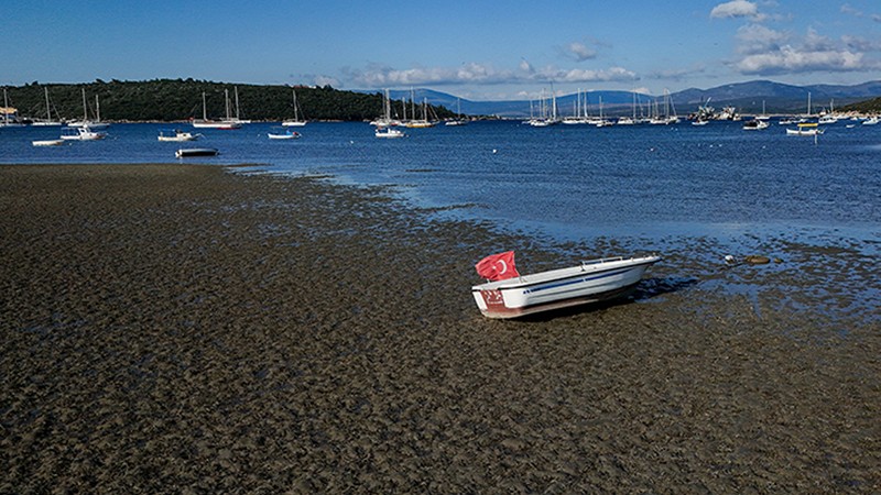 Yetkili isimler harekete geçti! Türkiye'de tsunami riski var mı?