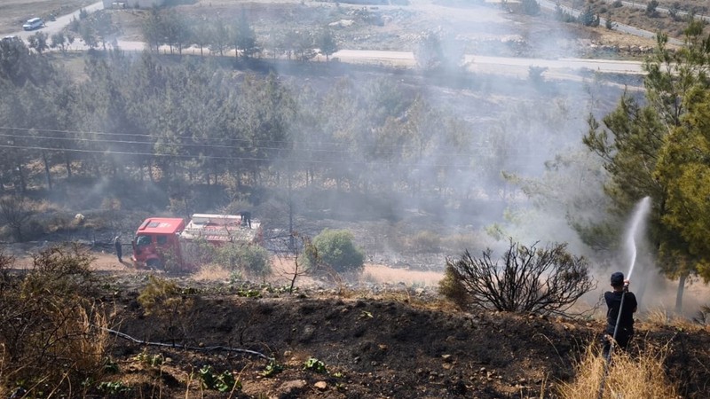 Hatay'da orman yangını