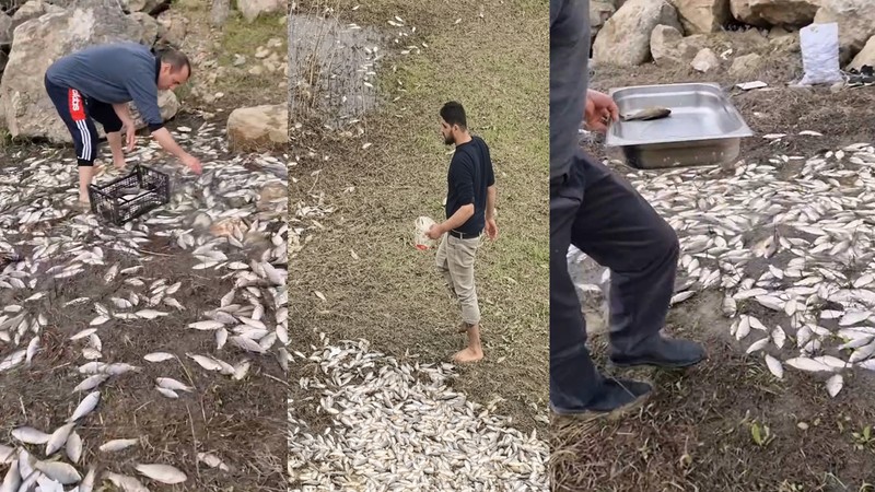 Bursa'da korkutan görüntü: Yemek için toplayanlar var