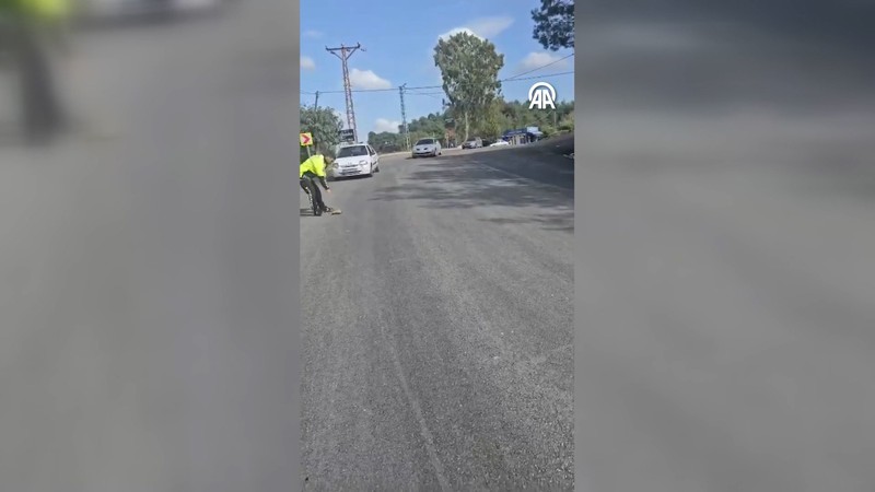 Polisten yoldan geçmeye çalışan kaplumbağaya yardım eli