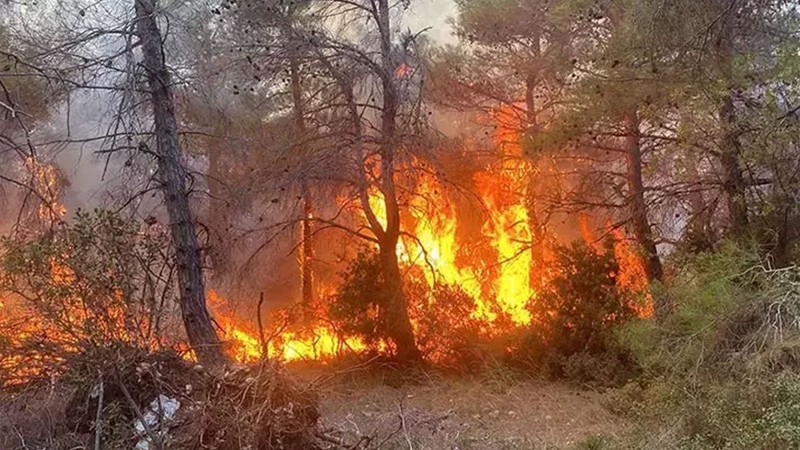 Orman yangınında 4 kişi öldü