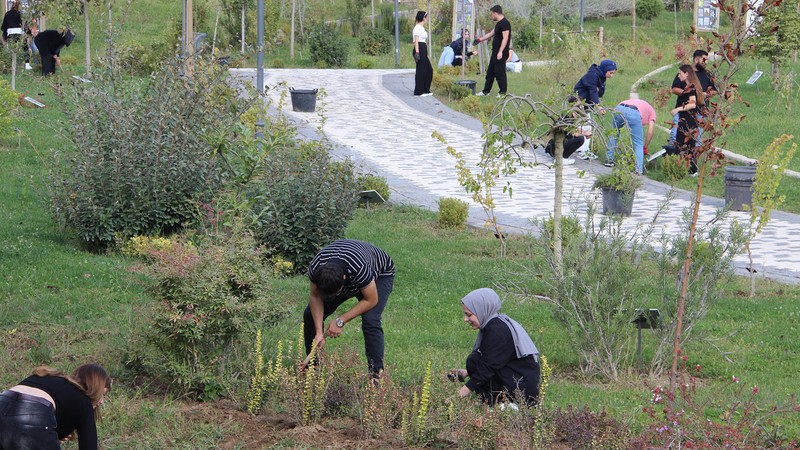Kökleri Düzce'de ünü dünyada! 20 yıllık hayal gerçek oldu