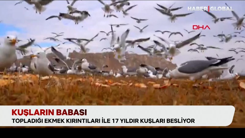 Kuşların babası tam 17 yıldır onları besliyor
