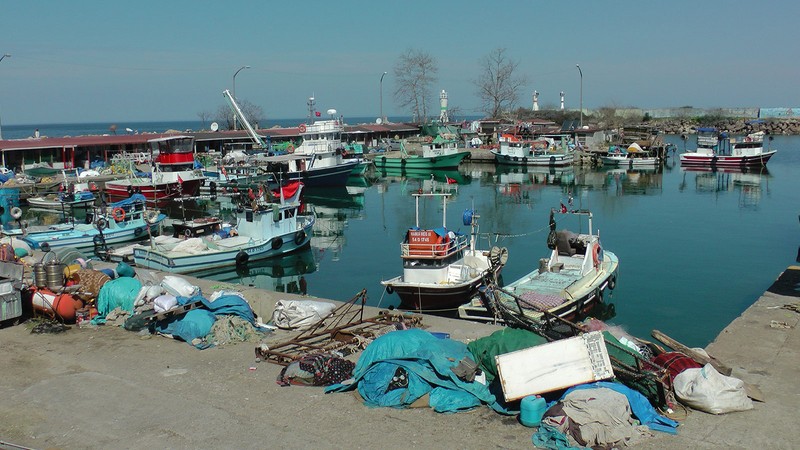 Batı Karadeniz'de balıkçılar sezonu erken kapattı