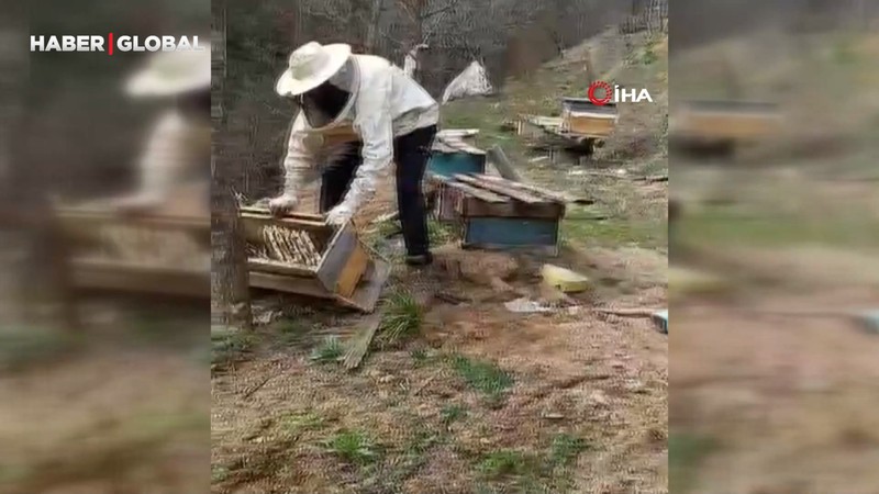 Gümüşhane'de fırtınada arı kovanları telef oldu
