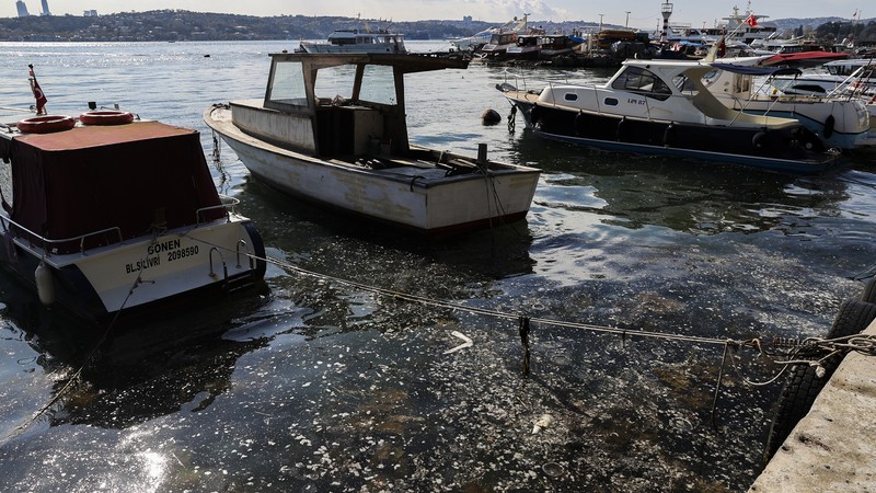 Müsilaj kabusu geri döndü, balıkçılar isyan etti: Ağ atamıyoruz