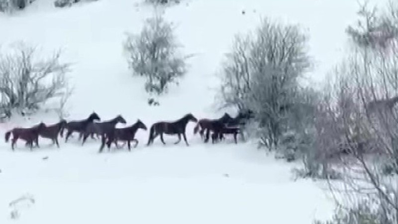 Akdağ'ın sembolü kar üzerinde