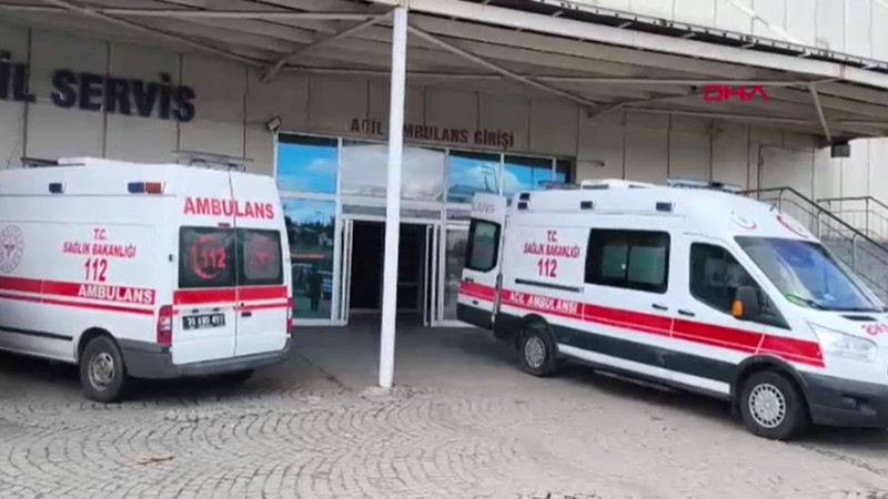 Kars'ta 'güzelavrat' otu yiyen 8 çocuk zehirledi