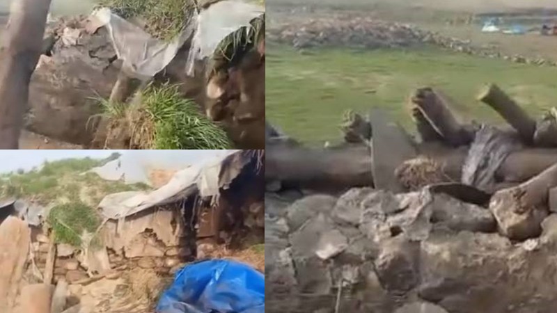 Kars’ta ahır çöktü: Büyükbaş hayvanlar öldü
