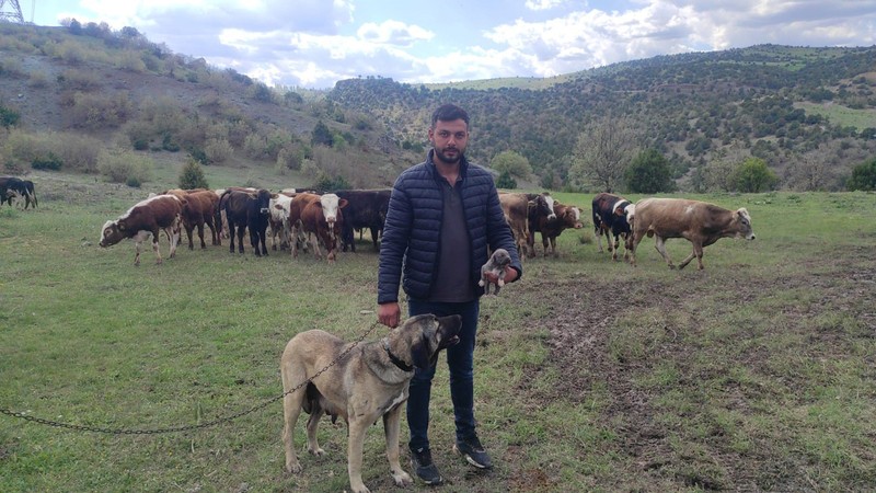  Sosyal medyada linç edilmişti, o köpeğin sahibi konuştu