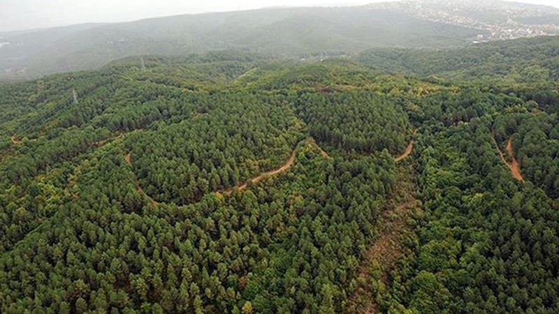 Bir ilde daha ormanlara girişler yasaklandı