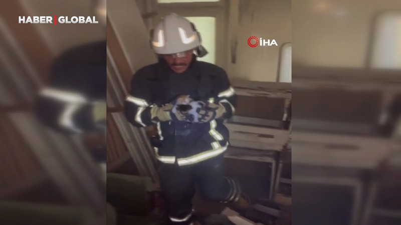 Alevlerin arasında mahsur kalan yavru kedileri miyavlamaları hayata tutundurdu