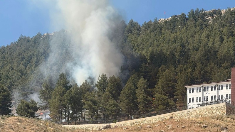 Adıyaman'da orman yangını
